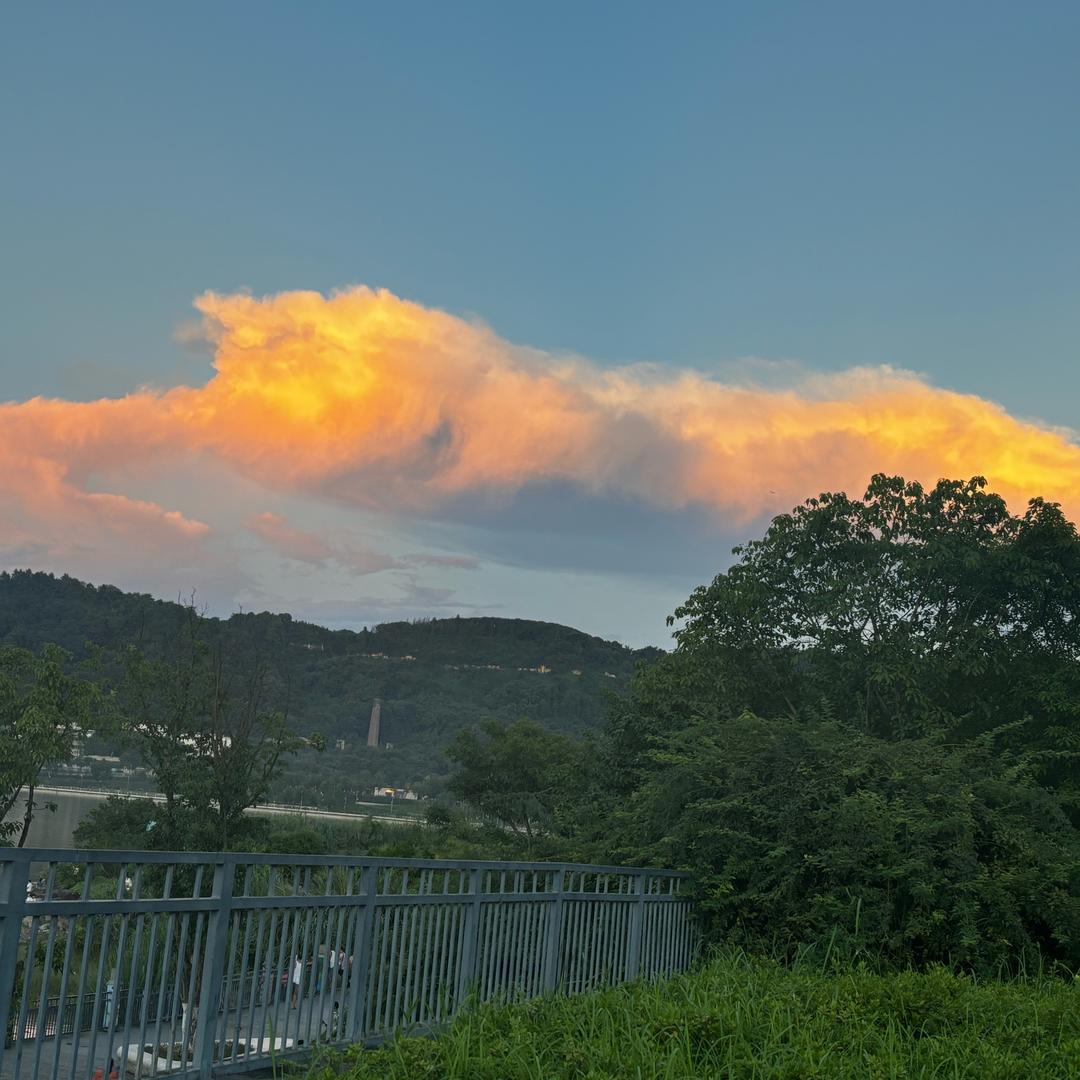 阿梅🌺的日常生活记录