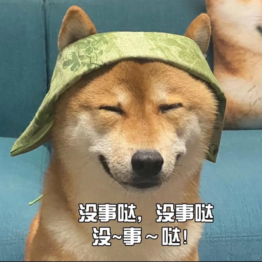 谁吃了我的香菜～