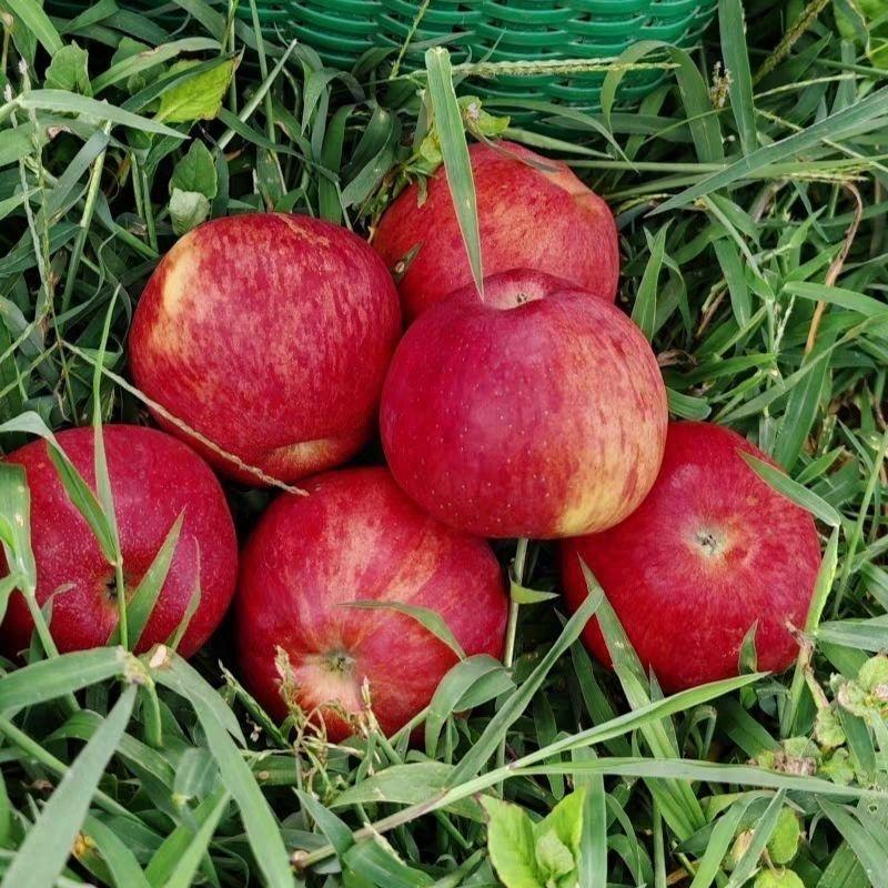 果然好吃优选店