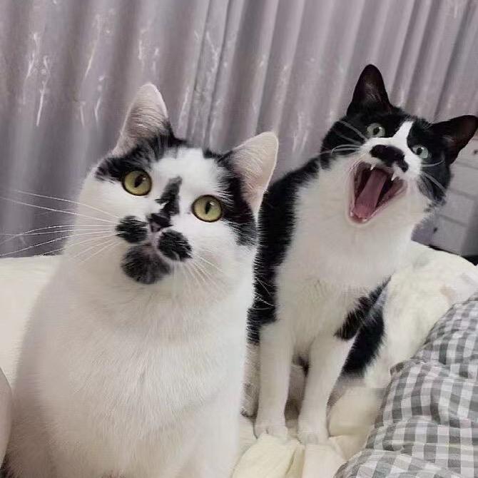 用户不存在怎么了