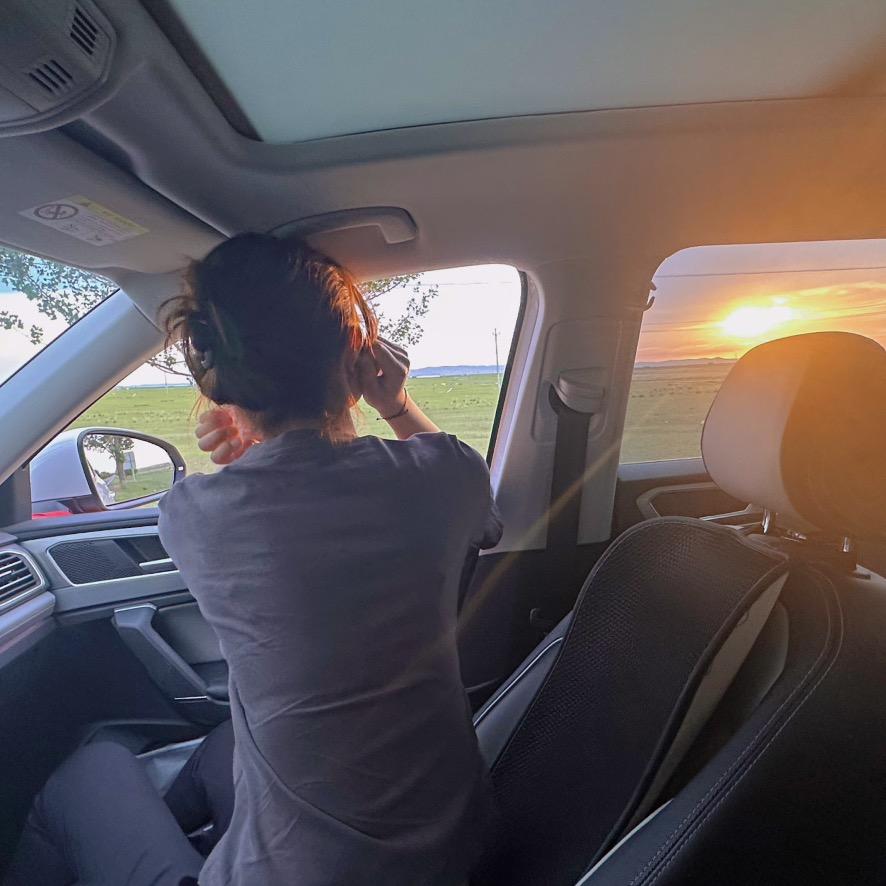 会结果的树             💜