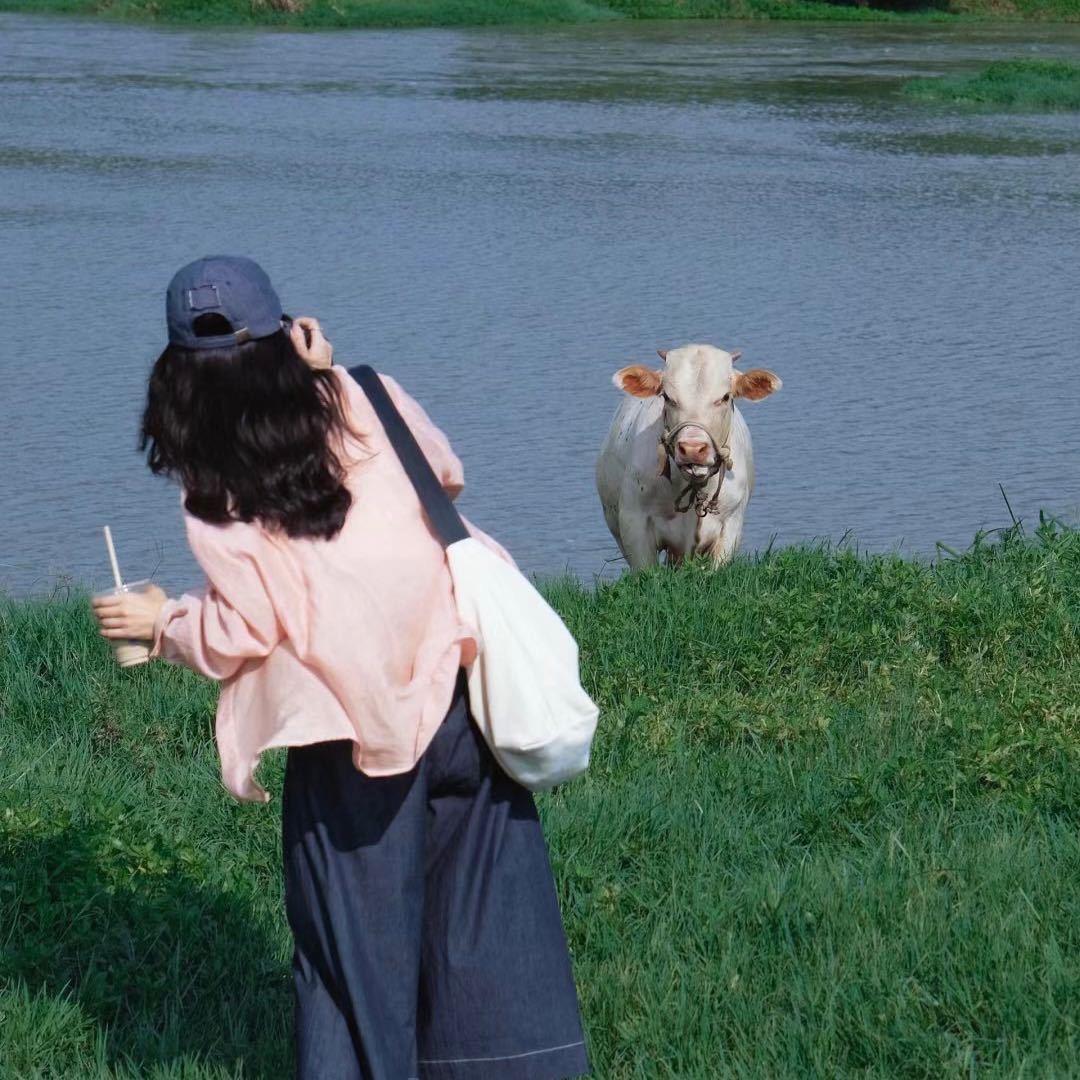 佳丽。