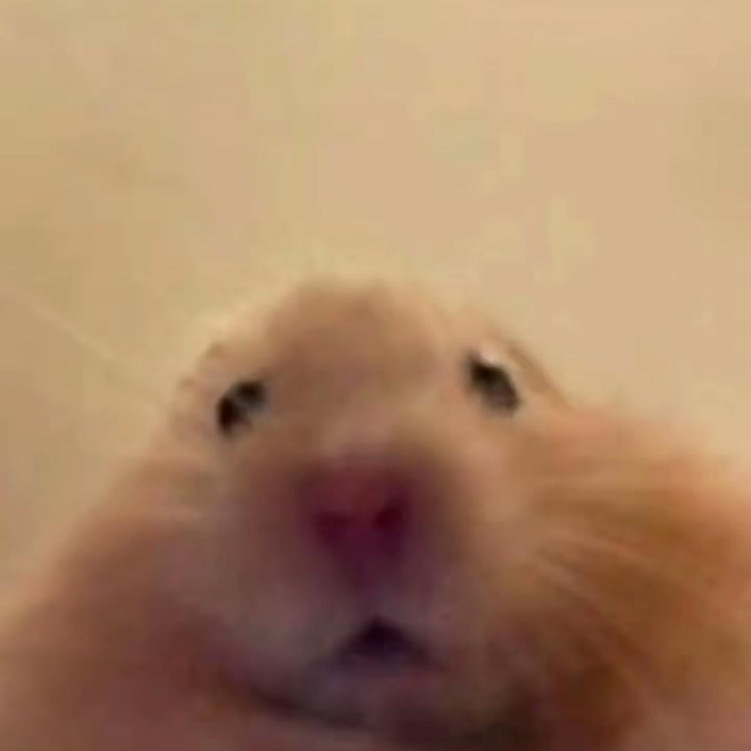 七鱼式