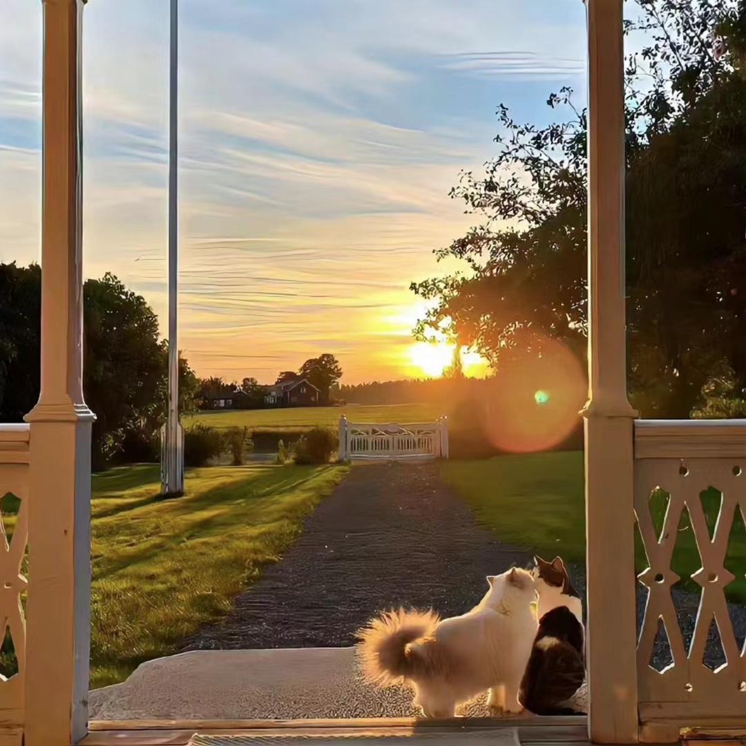 都市风情服装店