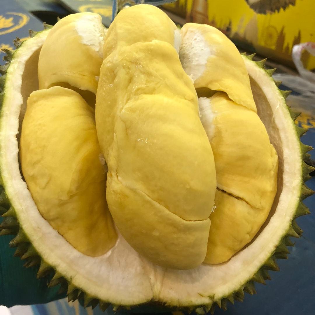 金记金枕榴莲 表哥
