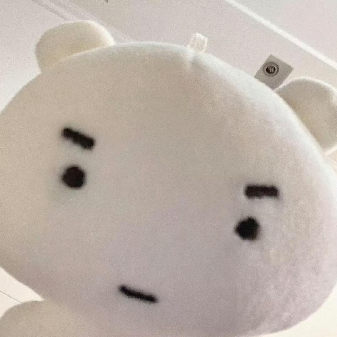 小迪不是咸鱼🐟