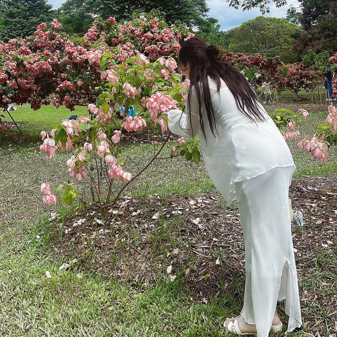 美迦妈
