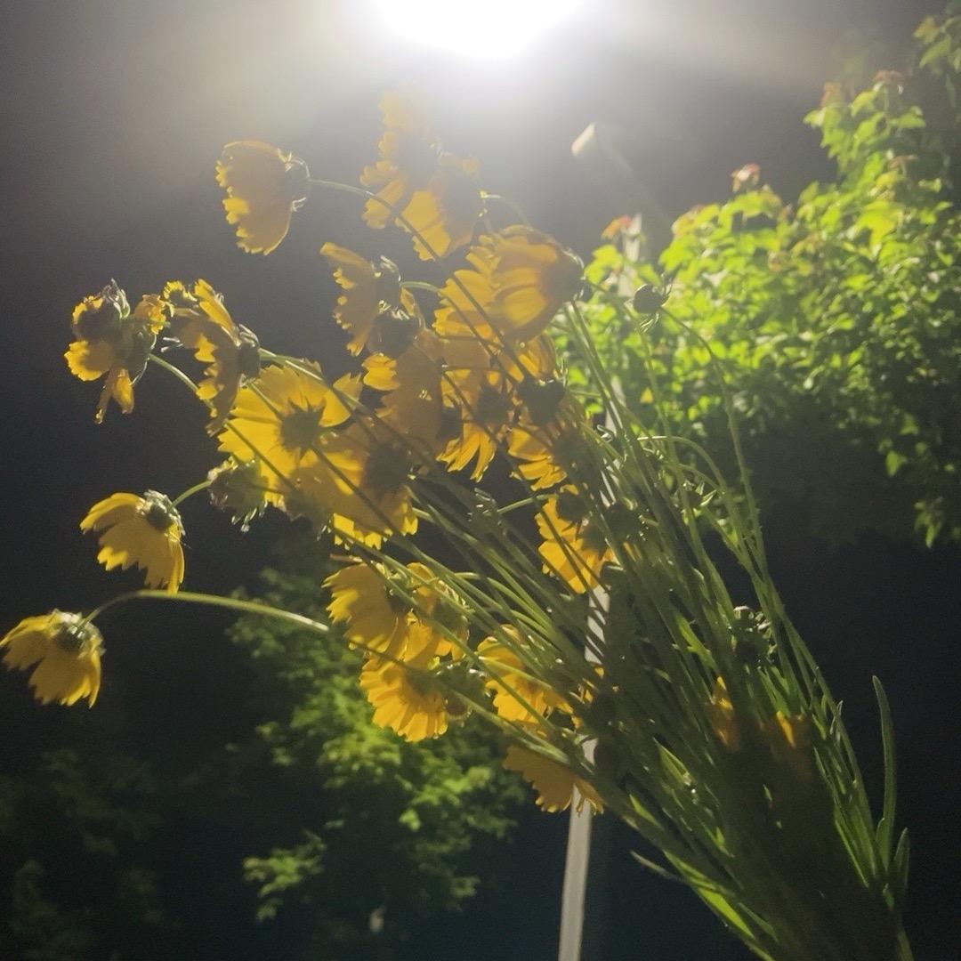 徐大憨
