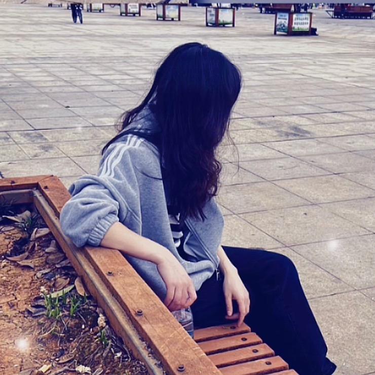 一只小小朱仔
