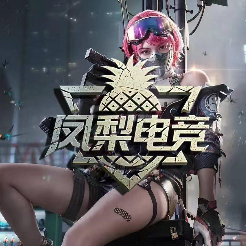 凤梨电竞