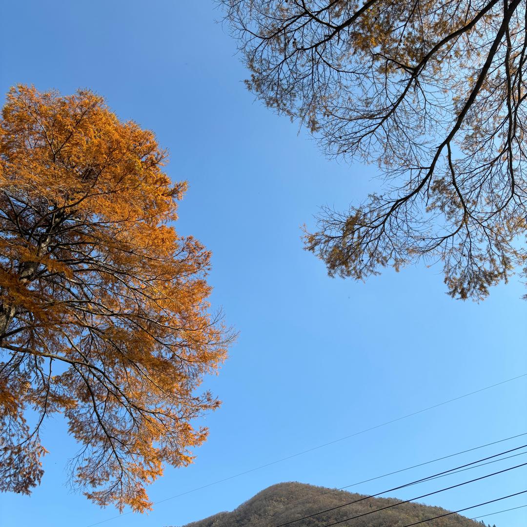 泡沫