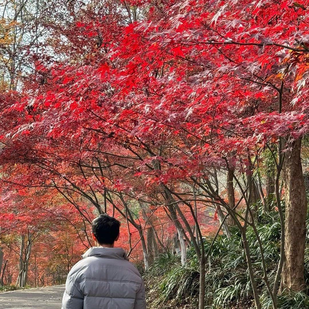 钰弟