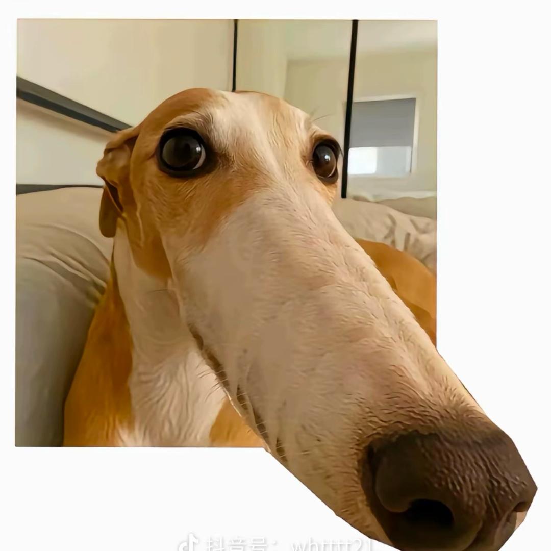 世界上最靠谱的男人