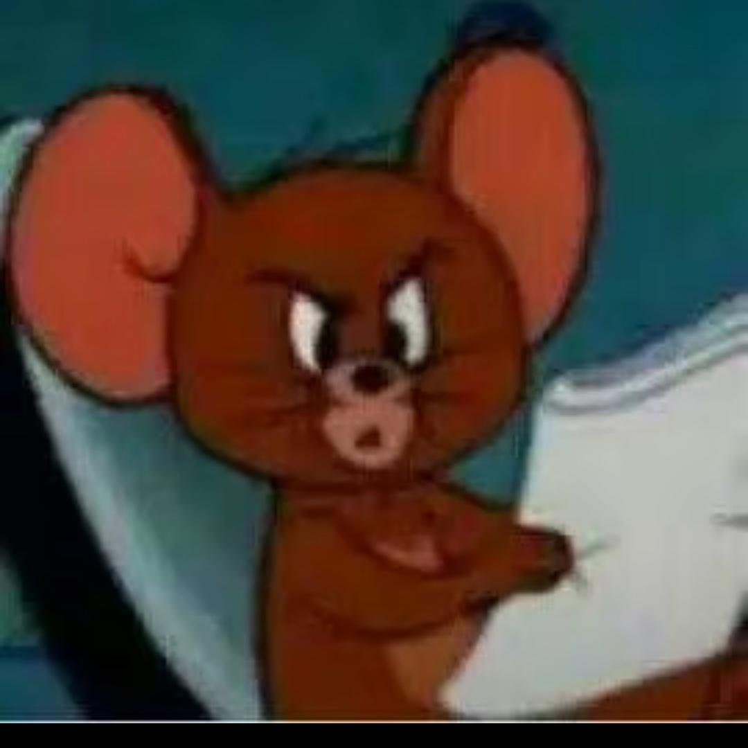 言和者（云顶小白）