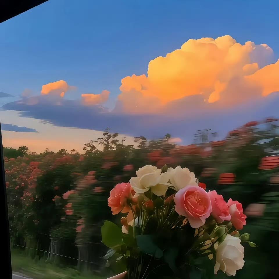 🌈🌈