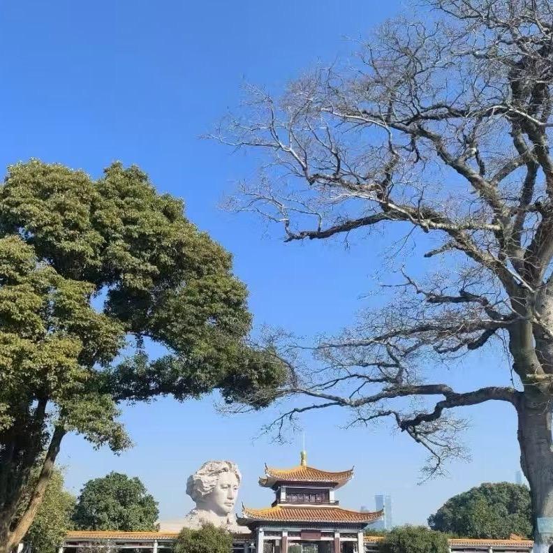 电风扇