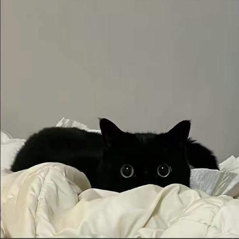 慕嘉靖.