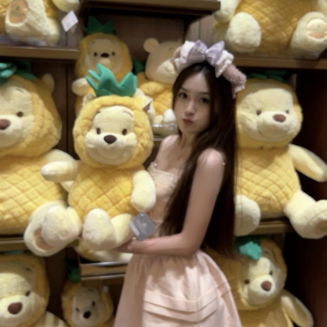 菠萝小困
