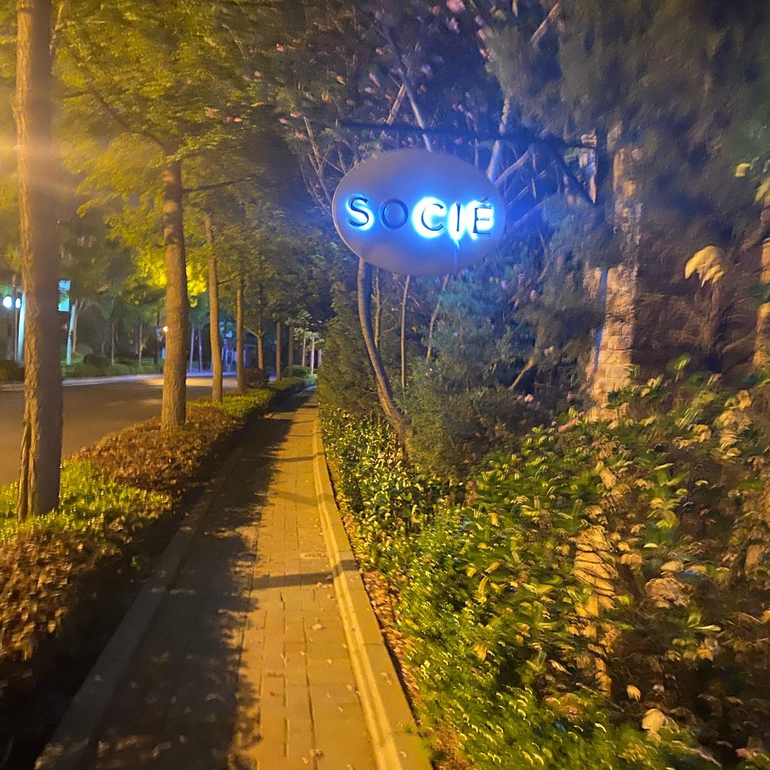顺     林