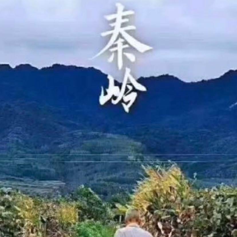 品味