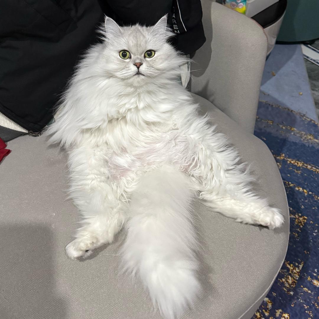 🌈等不见天亮等时光。