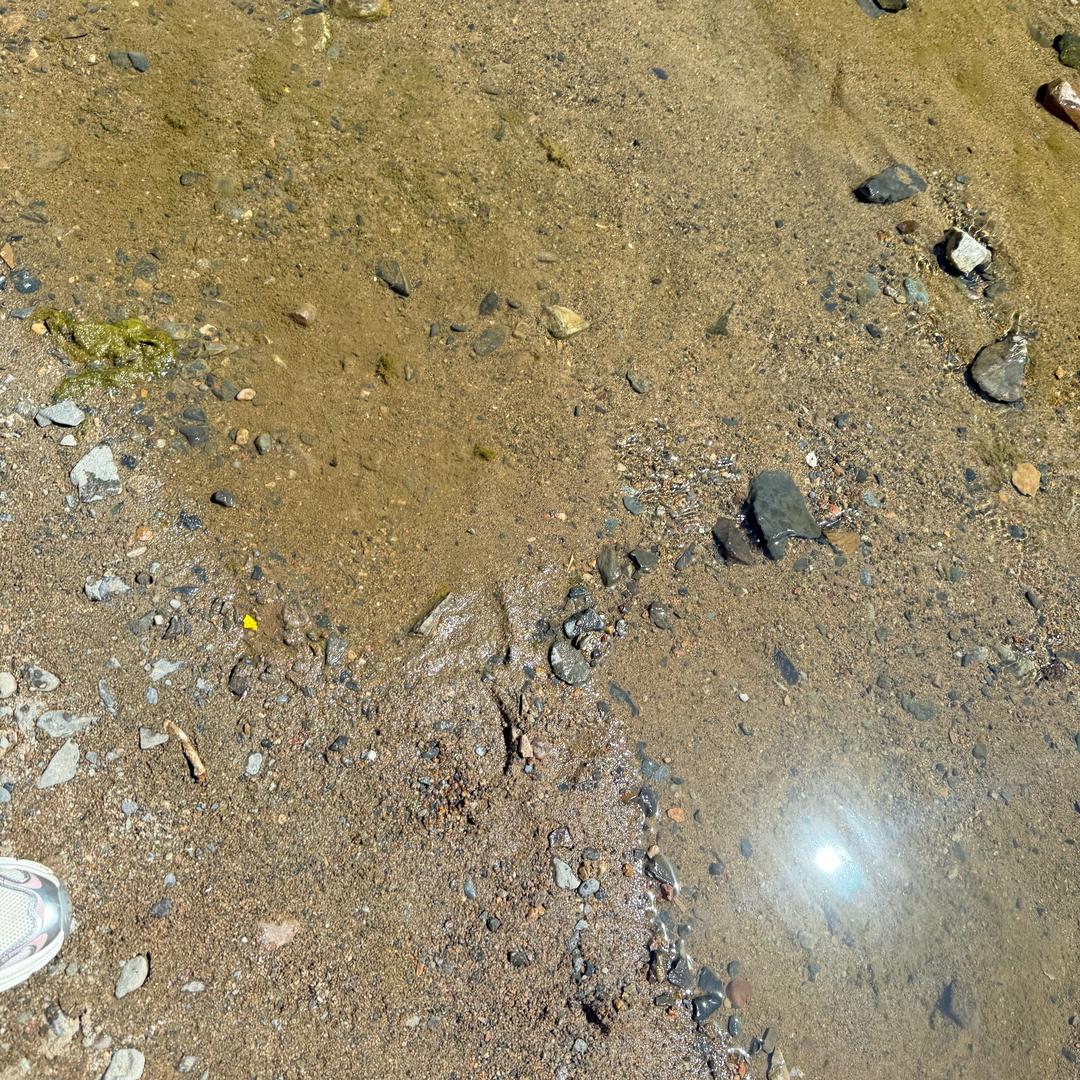 点点拿枪不会用