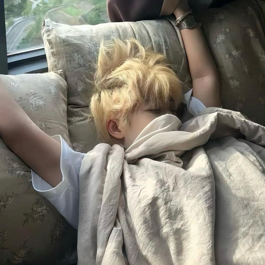 笨蛋总是掉眼泪