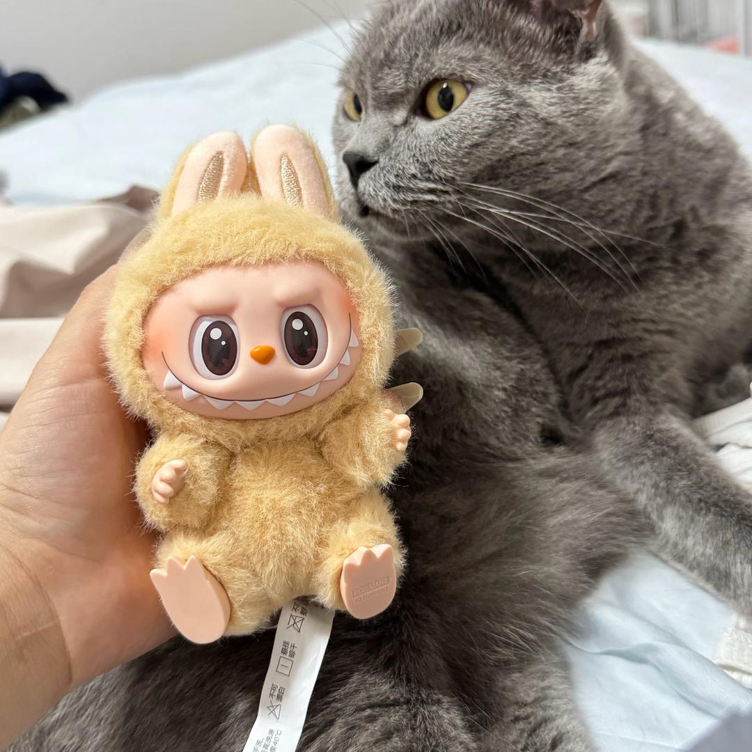 罗罗罗roky