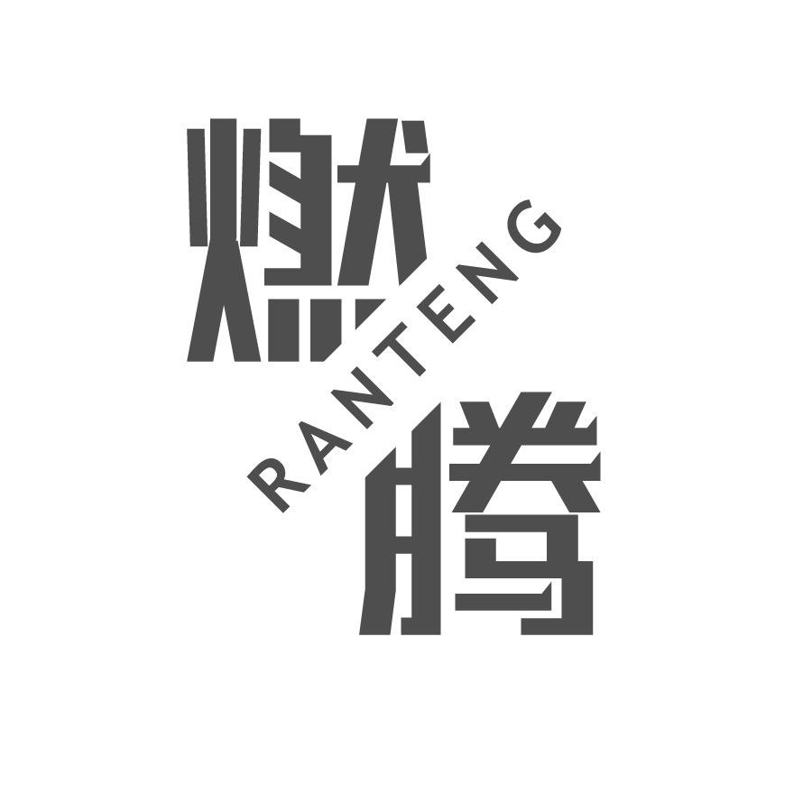 燃腾 数码专营店