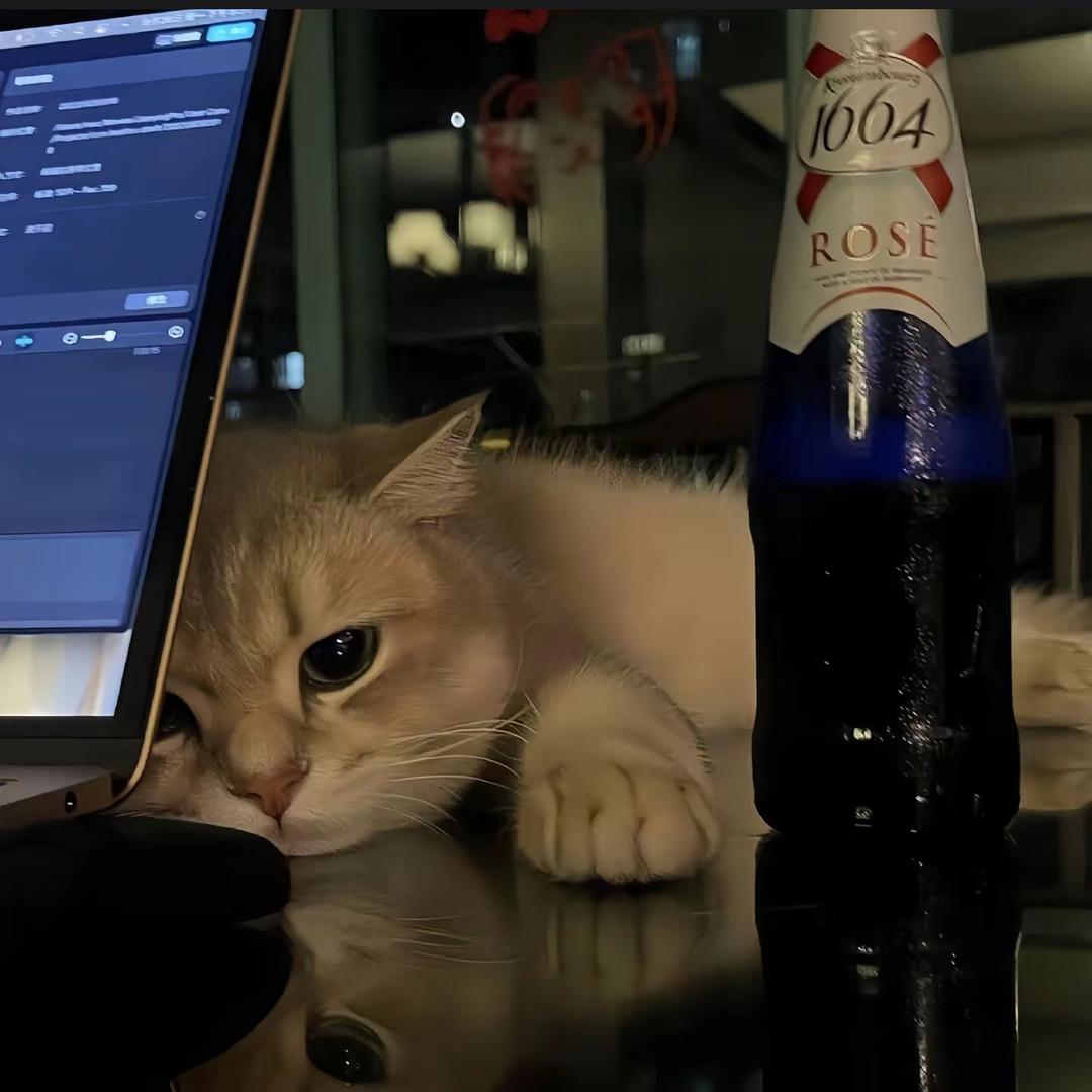 满山猴子我打球最菜🎱