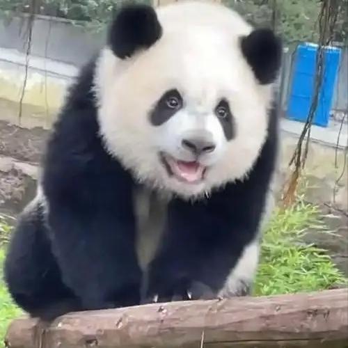 稷山大津装饰画