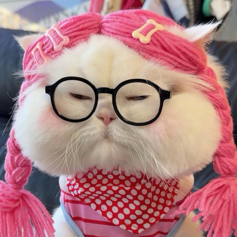 蛋🥚