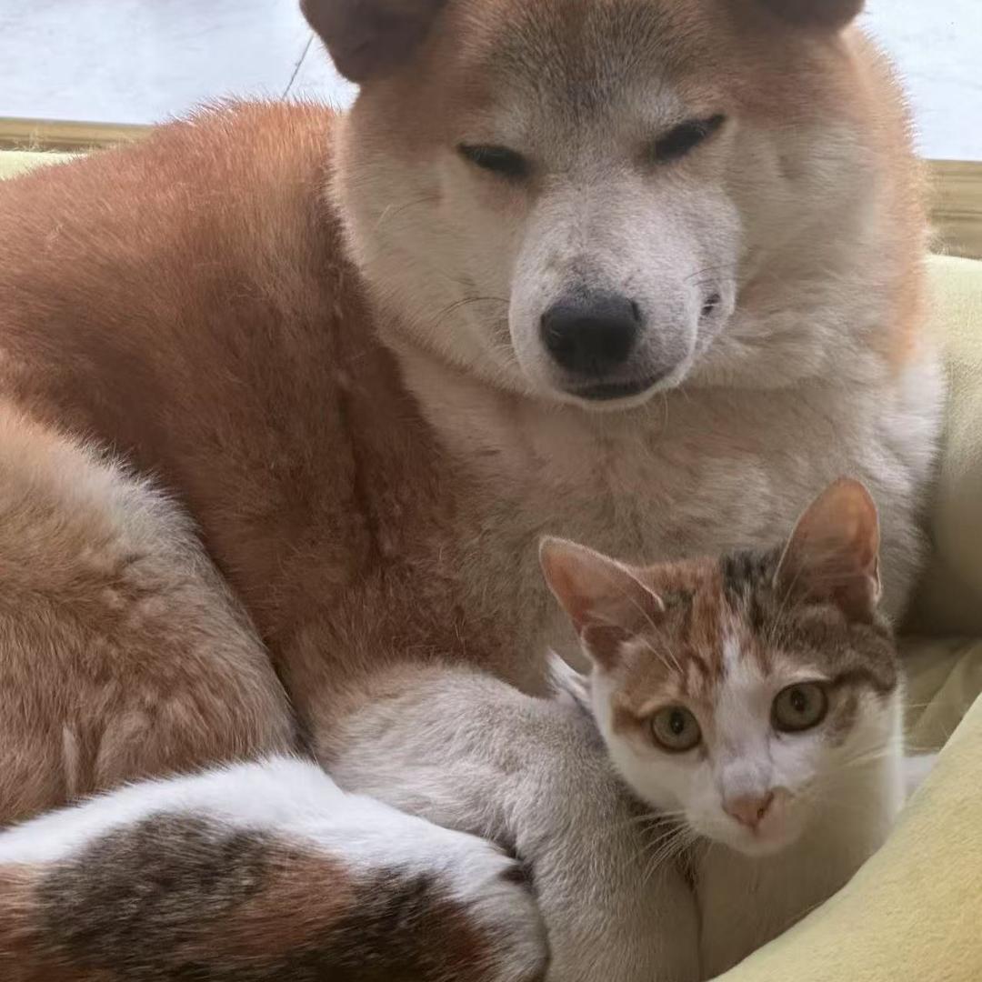 可可和葫芦娃的幸福生活