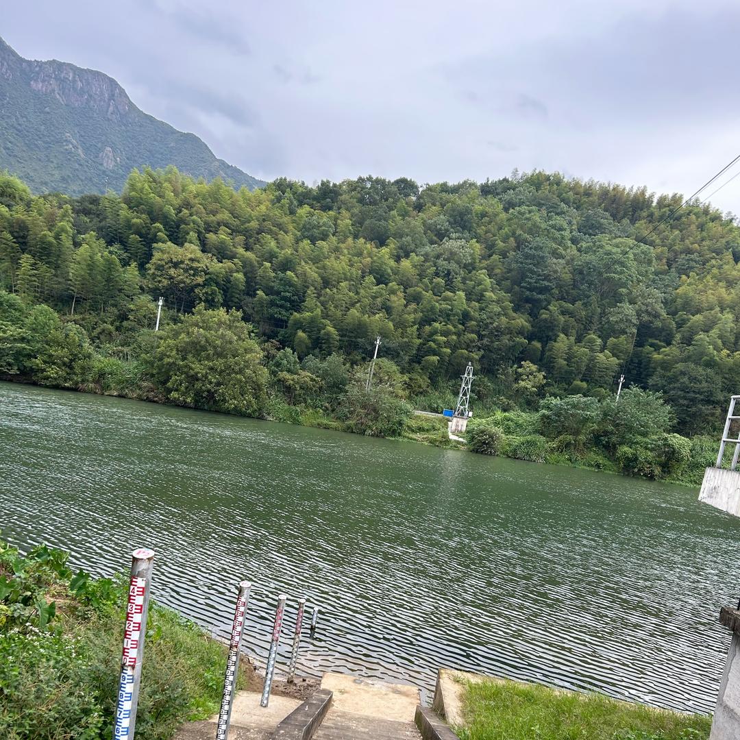 一抹微笑，露出虎牙🐯💎