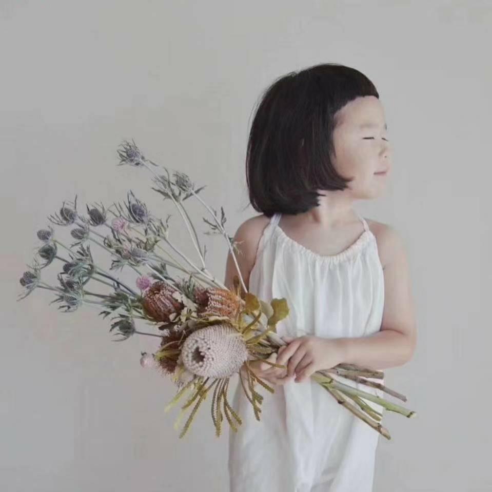梨子姐姐