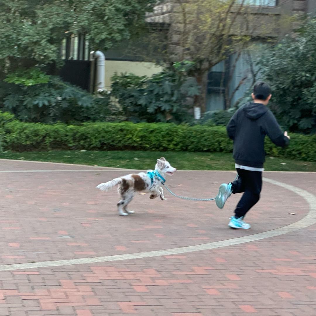 丹尼儿的小日常