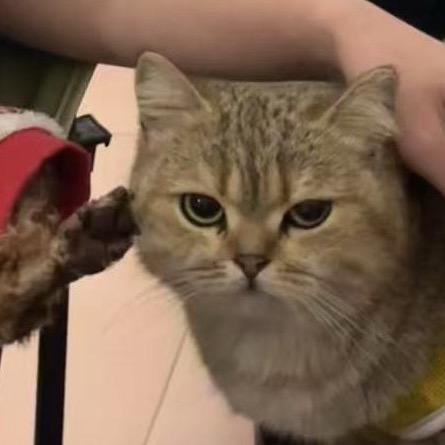 晓蜜🐱