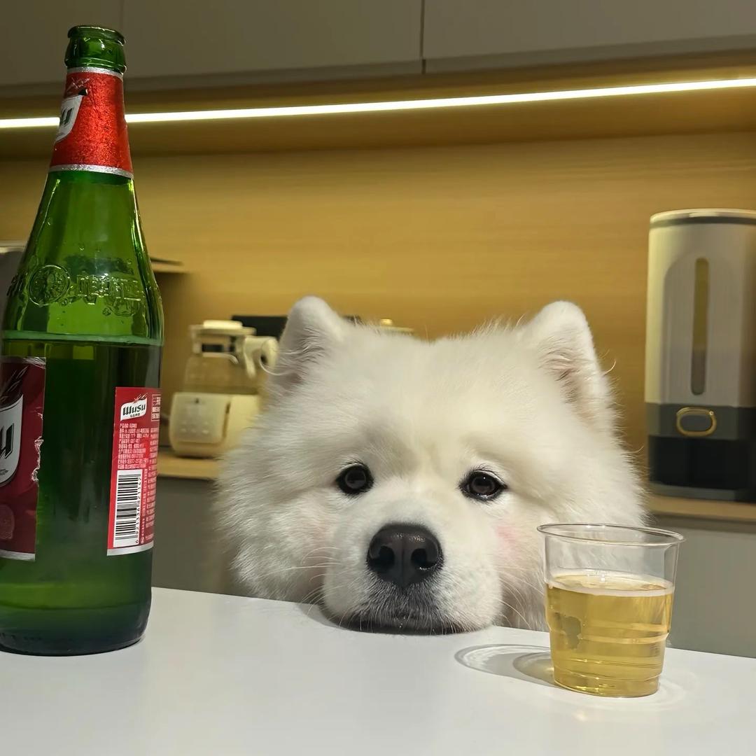 “高级”佩奇饲养员