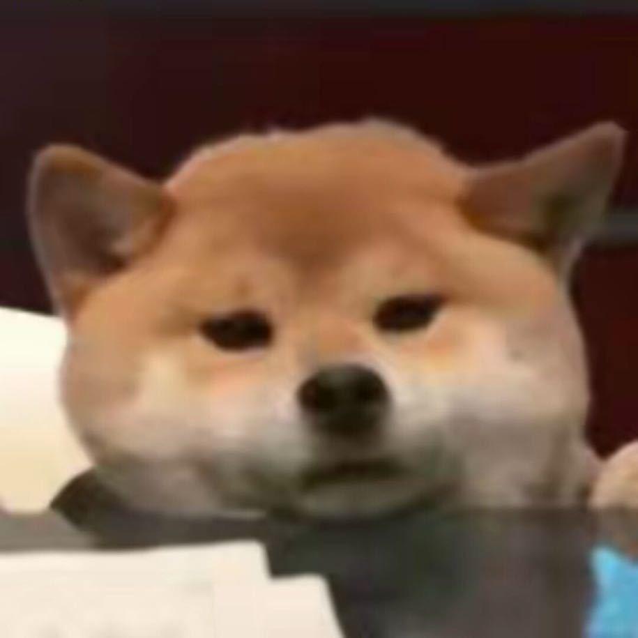 honeyyi