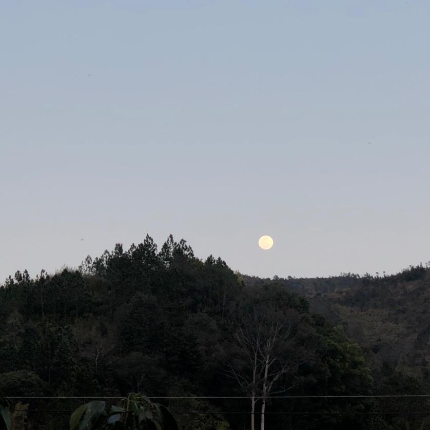 勿念，吾路过而已～