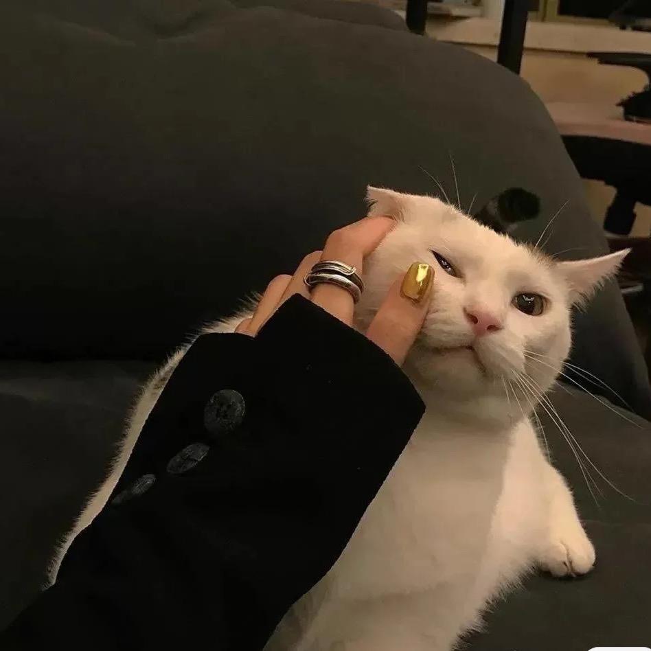 就吃¹小口