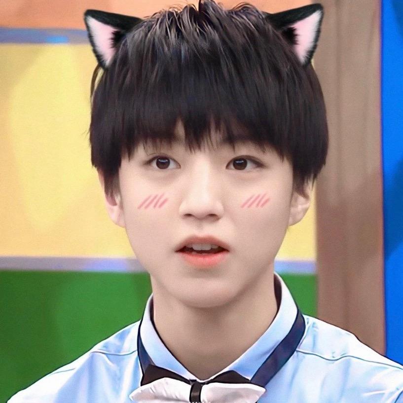 小羊驼