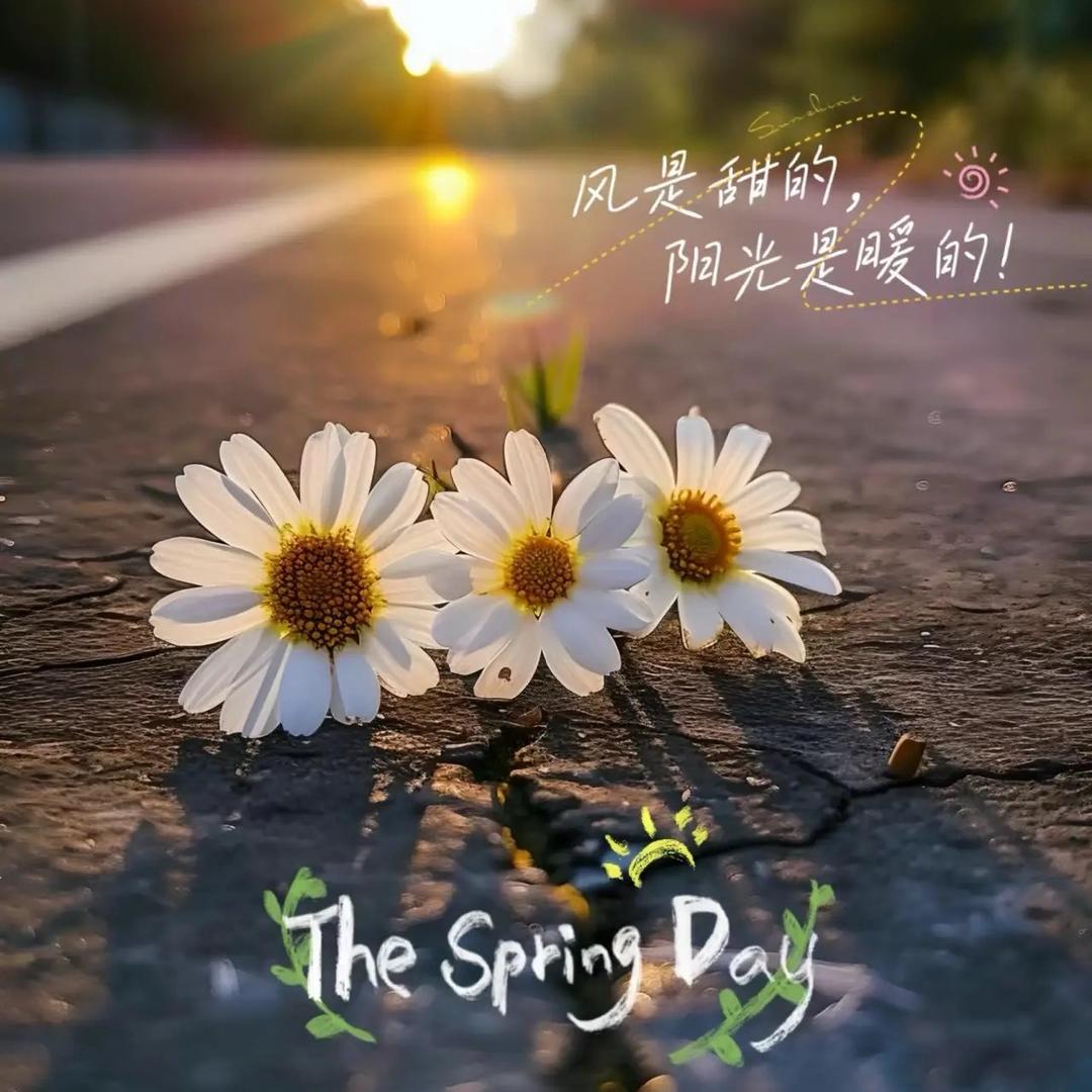 芮菡