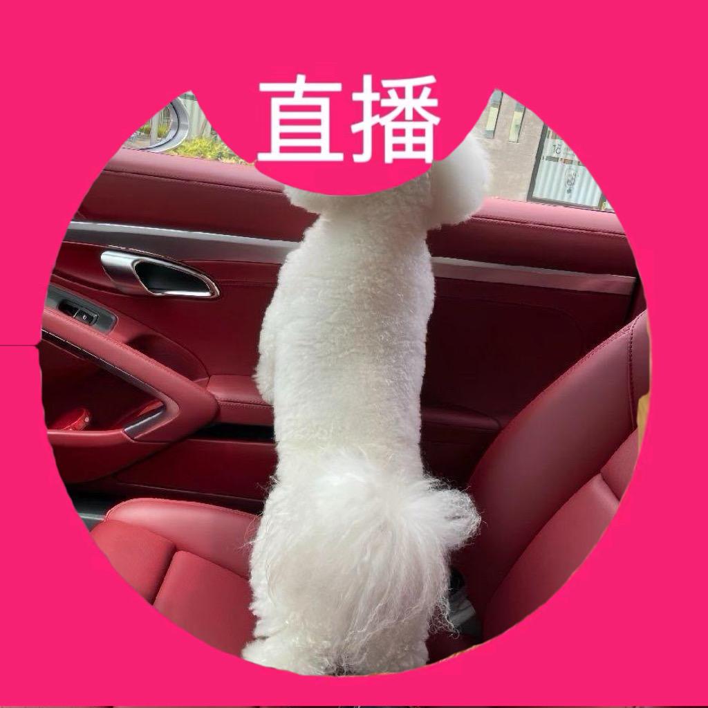 姐就是女王👸