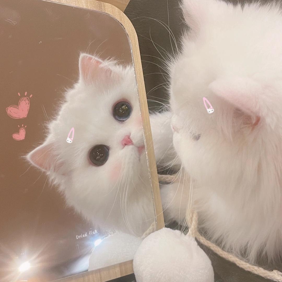 七七