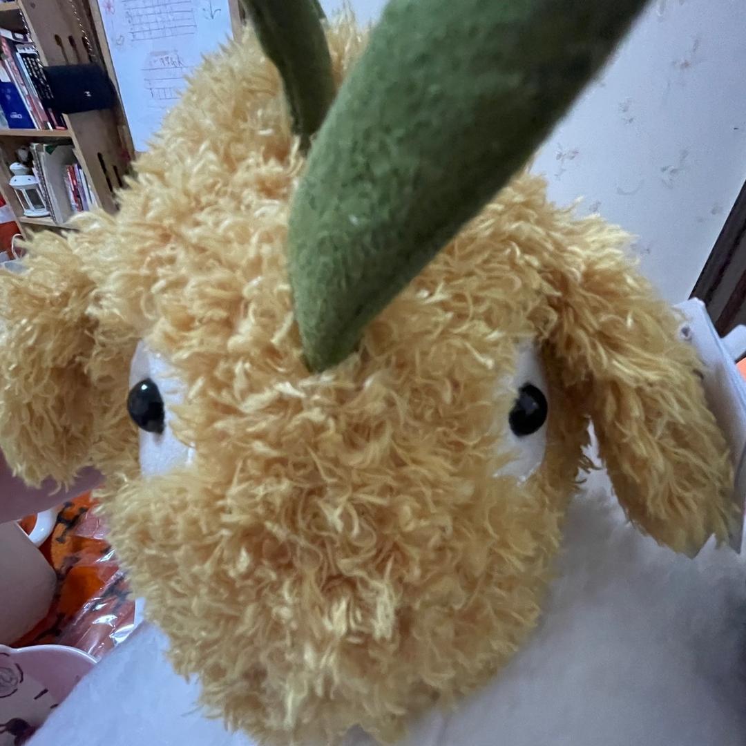 熙、