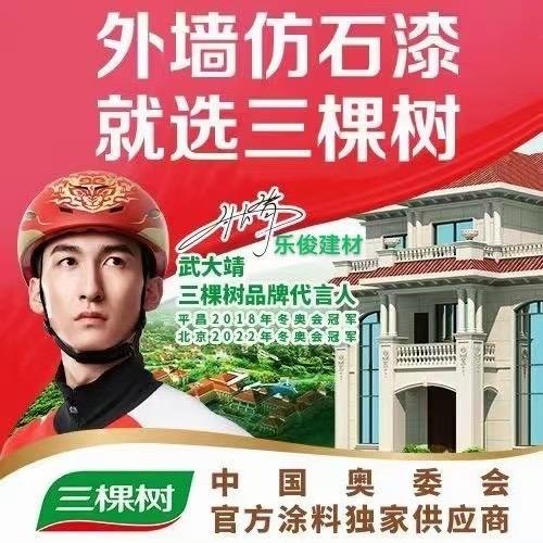 【港头乐俊建材】三棵树漆+立邦漆