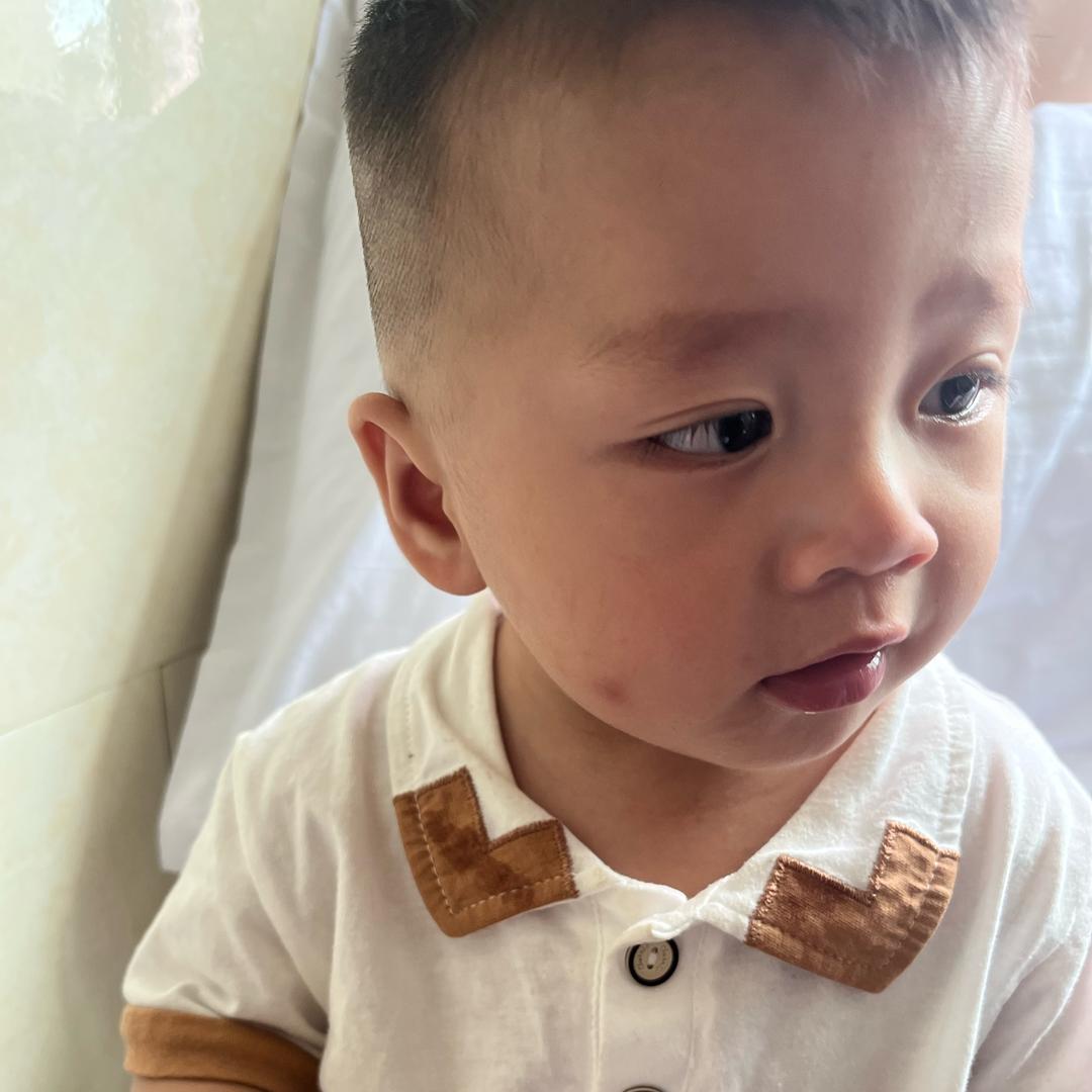 毛子