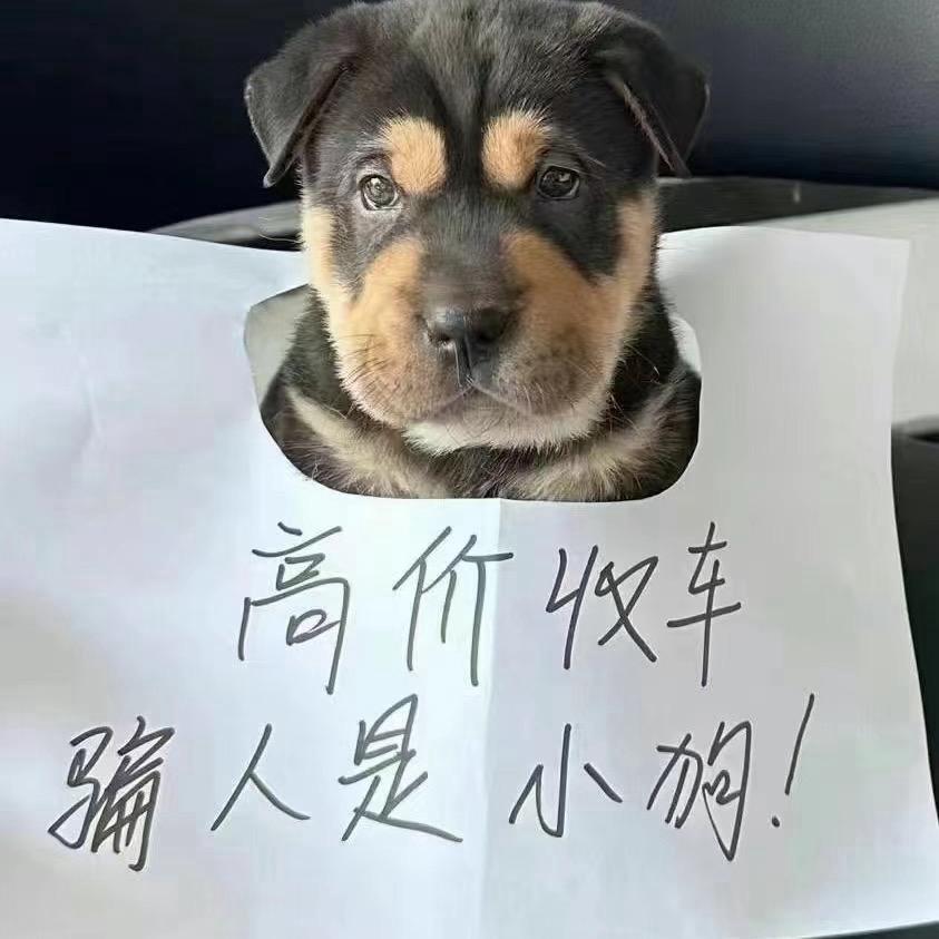 小雨摩托车上牌过户