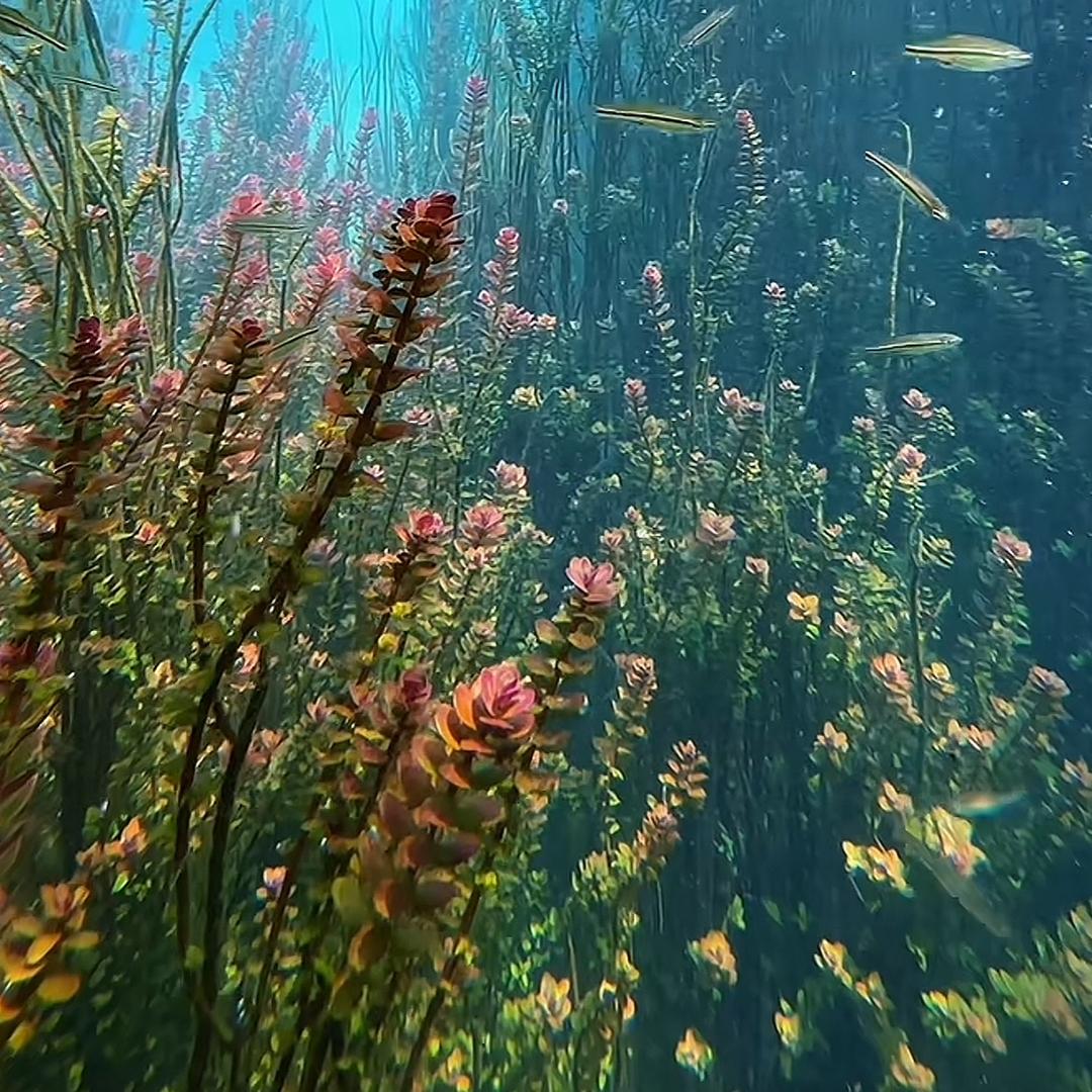 大英雄不理小流氓